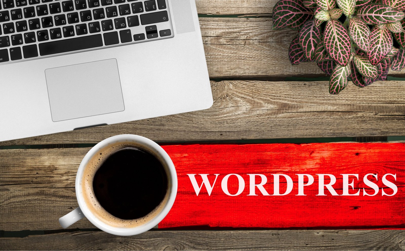 WordPress Development Service In Nepal